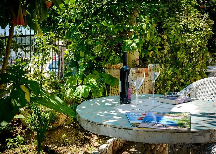 Apartman Milic Mlini